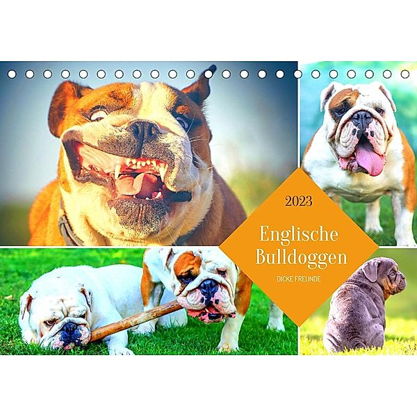 Dicke Freunde. Englische Bulldoggen (Tischkalender 2023 DIN A5 quer), Rose Hurley