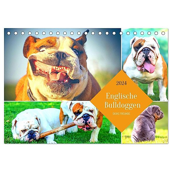 Dicke Freunde. Englische Bulldoggen (Tischkalender 2024 DIN A5 quer), CALVENDO Monatskalender, Rose Hurley