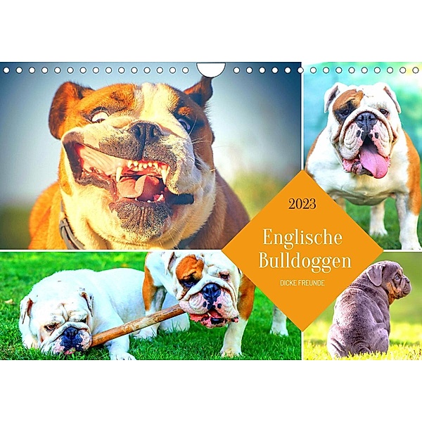 Dicke Freunde. Englische Bulldoggen (Wandkalender 2023 DIN A4 quer), Rose Hurley
