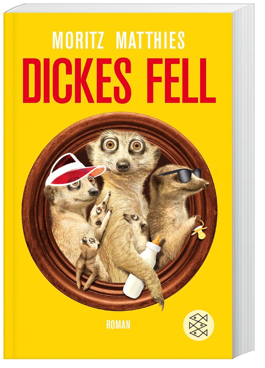 Dickes Fell Erdmännchen Ray & Rufus Bd.4 Buch - Weltbild.ch