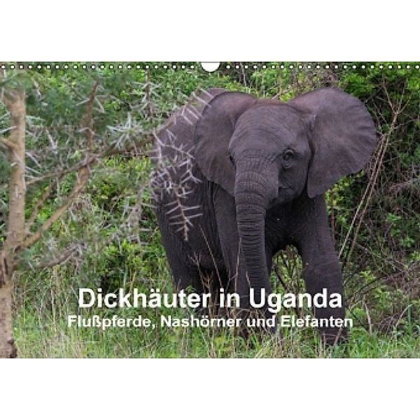 Dickhäuter in Uganda - Flußpferde, Nashörner und Elefanten (Wandkalender 2016 DIN A3 quer), Helmut Gulbins