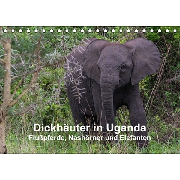 Dickhäuter in Uganda - Flußpferde, Nashörner und Elefanten (Tischkalender 2016 DIN A5 quer), Helmut Gulbins