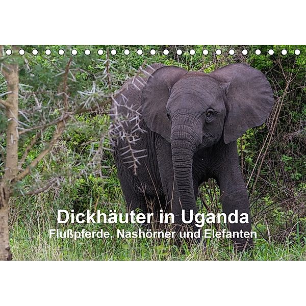 Dickhäuter in Uganda - Flußpferde, Nashörner und Elefanten (Tischkalender 2018 DIN A5 quer), Helmut Gulbins