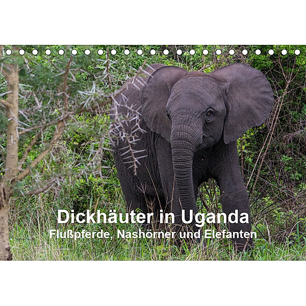 Dickhäuter in Uganda - Flußpferde, Nashörner und Elefanten (Tischkalender 2019 DIN A5 quer), Helmut Gulbins
