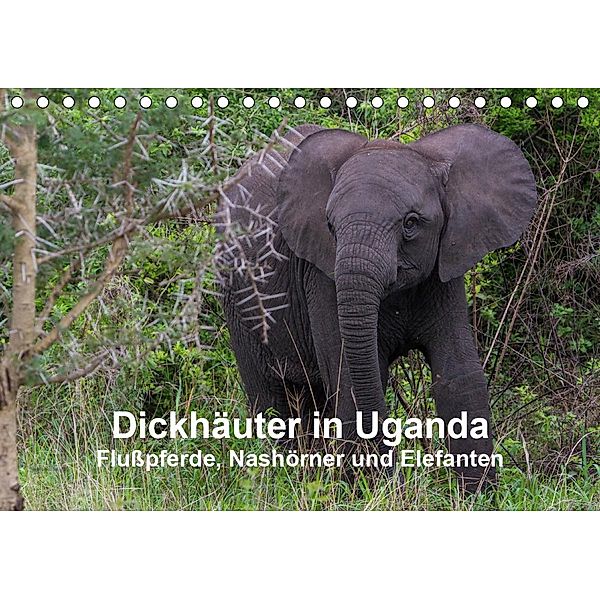 Dickhäuter in Uganda - Flußpferde, Nashörner und Elefanten (Tischkalender 2021 DIN A5 quer), Helmut Gulbins