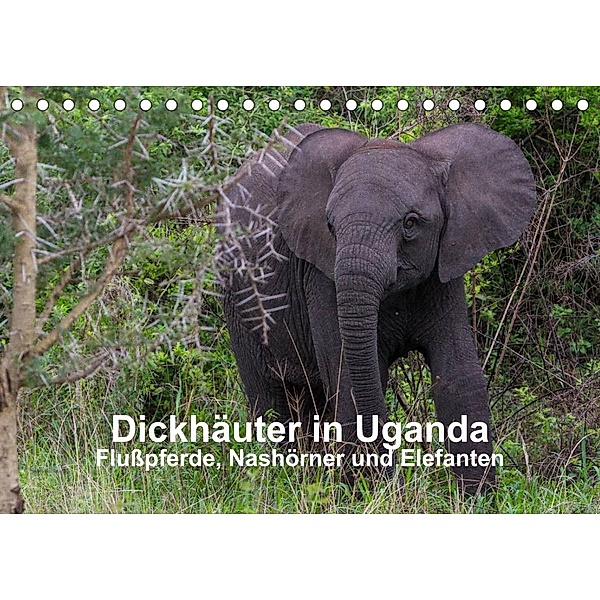 Dickhäuter in Uganda - Flußpferde, Nashörner und Elefanten (Tischkalender 2023 DIN A5 quer), Helmut Gulbins