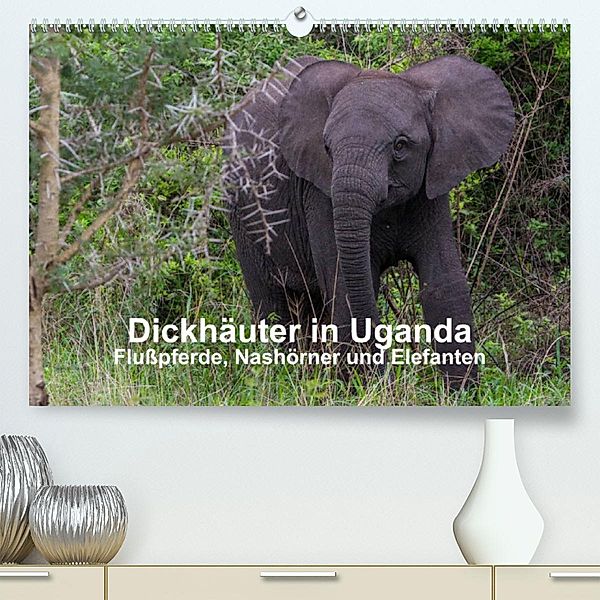 Dickhäuter in Uganda - Flußpferde, Nashörner und Elefanten (Premium, hochwertiger DIN A2 Wandkalender 2023, Kunstdruck i, Helmut Gulbins
