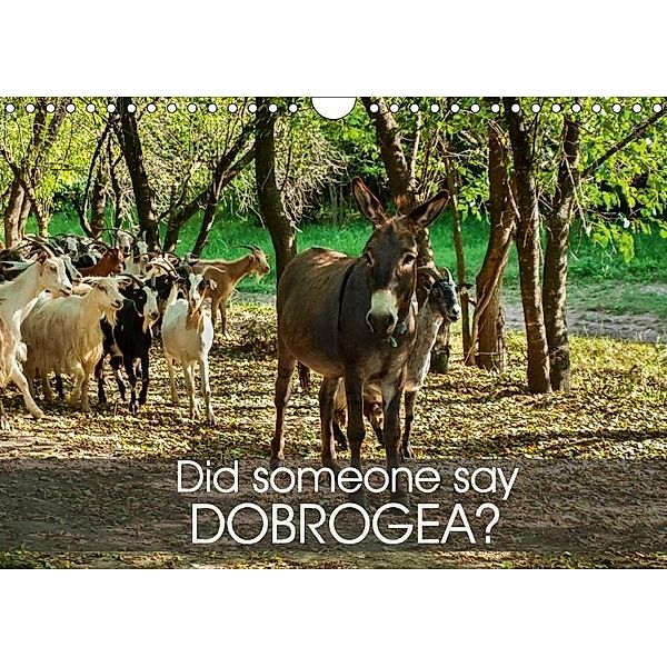 Did someone say Dobrogea? (Wall Calendar 2017 DIN A4 Landscape), Mag's Eyes