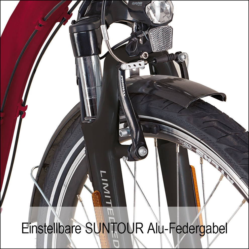 Didi Thurau Edition E-Bike Alu City Comfort 3 in 1 PLUS Typ: weinrot, 36 V  12,8 Ah online kaufen - Orbisana