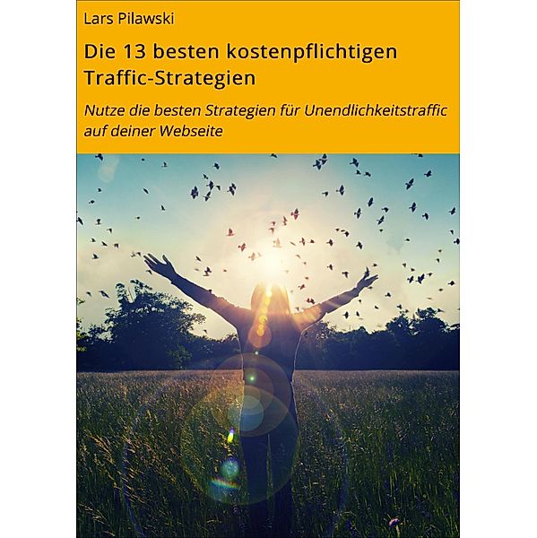 Die 13 besten kostenpflichtigen Traffic-Strategien, Lars Pilawski