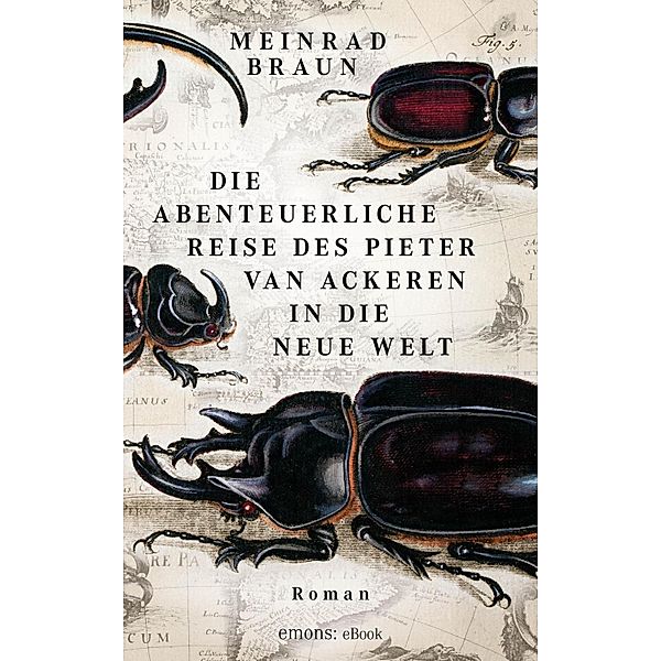 Die abenteuerliche Reise des Pieter van Ackeren in die neue Welt, Meinrad Braun