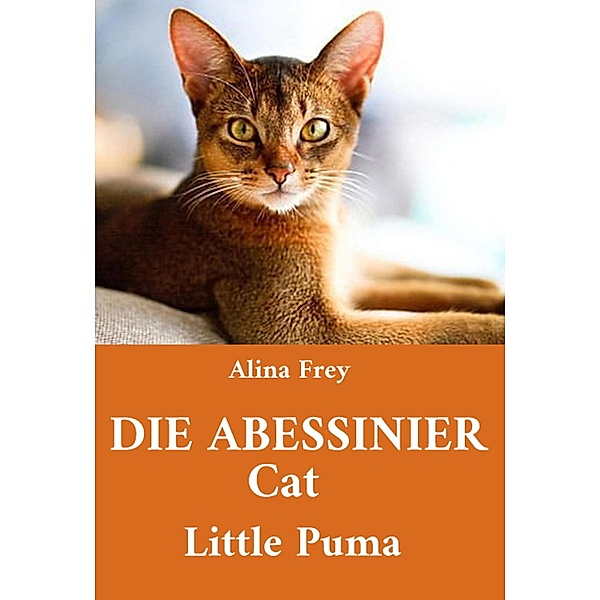 Die Abessinier Cat Little Puma, Alina Frey