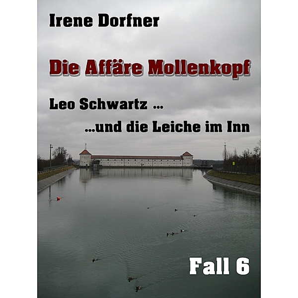 Die Affäre Mollenkopf / Leo Schwartz Bd.6, Irene Dorfner