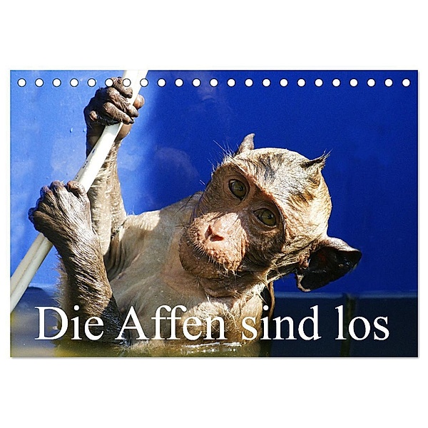Die Affen sind los (Tischkalender 2024 DIN A5 quer), CALVENDO Monatskalender, Erika Müller