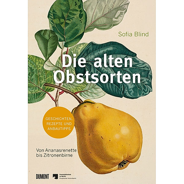 Die alten Obstsorten, Sofia Blind