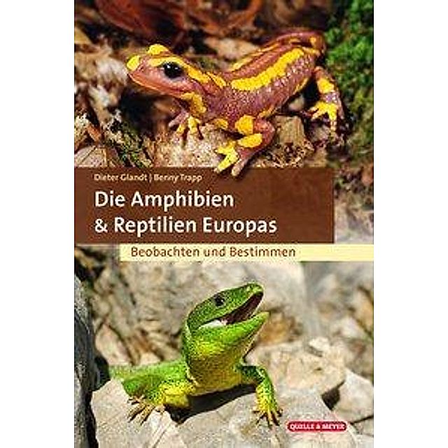 Die Amphibien und Reptilien Europas Buch versandkostenfrei - Weltbild.at