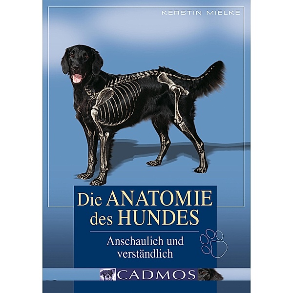 Die Anatomie des Hundes / Hundwissen, Kerstin Mielke