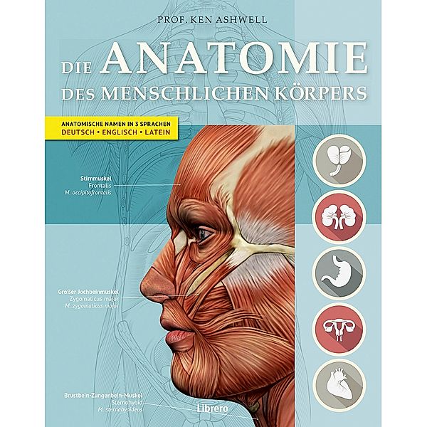 Die Anatomie des menschlichen Körpers, Ken Ashwell