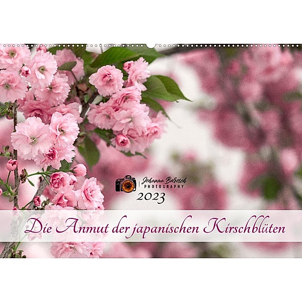 Die Anmut der japanischen Kirschblüten (Wandkalender 2023 DIN A2 quer), Johanna Burosch PHOTOGRAPHY