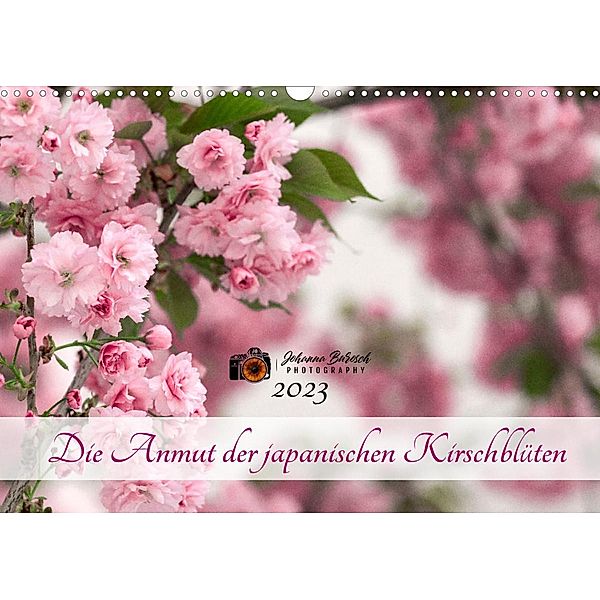 Die Anmut der japanischen Kirschblüten (Wandkalender 2023 DIN A3 quer), Johanna Burosch PHOTOGRAPHY