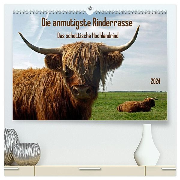 Die anmutigste Rinderrasse - Das schottische Hochlandrind (hochwertiger Premium Wandkalender 2024 DIN A2 quer), Kunstdruck in Hochglanz, Claudia Kleemann