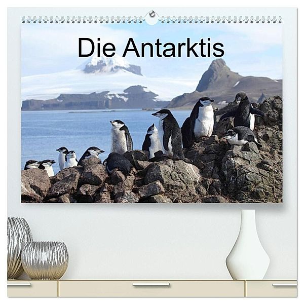 Die Antarktis / CH-Version (hochwertiger Premium Wandkalender 2024 DIN A2 quer), Kunstdruck in Hochglanz, Roland Brack