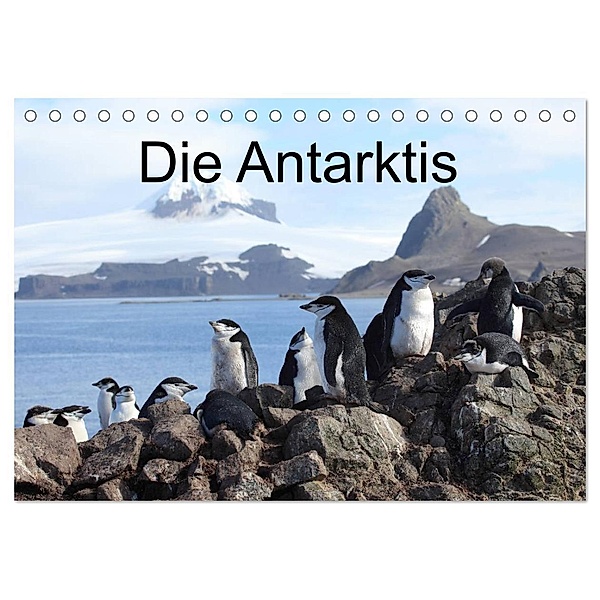 Die Antarktis / CH-Version (Tischkalender 2024 DIN A5 quer), CALVENDO Monatskalender, Roland Brack