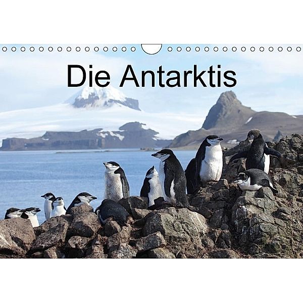 Die Antarktis / CH-Version (Wandkalender 2017 DIN A4 quer), Roland Brack