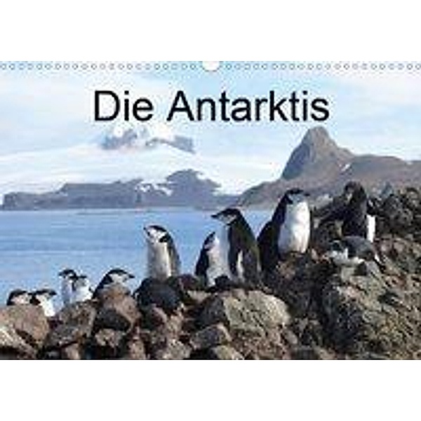 Die Antarktis / CH-Version (Wandkalender 2020 DIN A3 quer), Roland Brack
