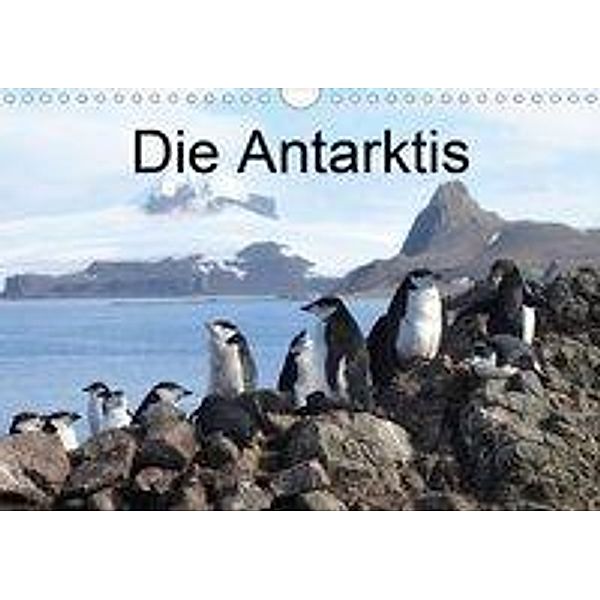 Die Antarktis / CH-Version (Wandkalender 2020 DIN A4 quer), Roland Brack