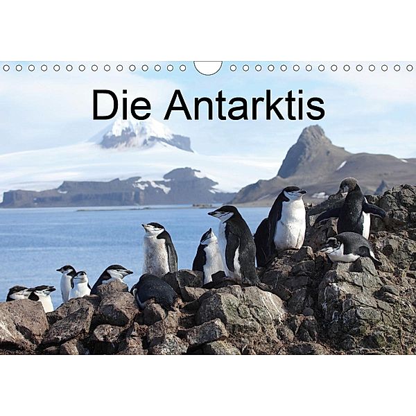 Die Antarktis / CH-Version (Wandkalender 2021 DIN A4 quer), Roland Brack