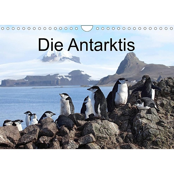 Die Antarktis / CH-Version (Wandkalender 2023 DIN A4 quer), Roland Brack
