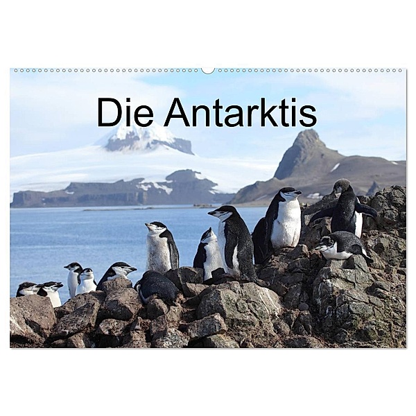Die Antarktis / CH-Version (Wandkalender 2024 DIN A2 quer), CALVENDO Monatskalender, Roland Brack