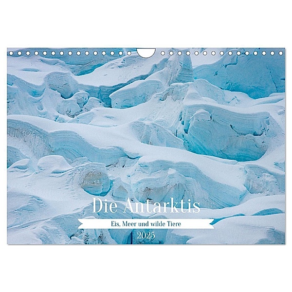Die Antarktis - Eis, Meer und wilde Tiere (Wandkalender 2025 DIN A4 quer), CALVENDO Monatskalender, Calvendo, Andreas Misera