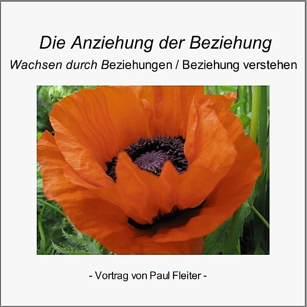 Die Anziehung der Beziehung, Paul Fleiter