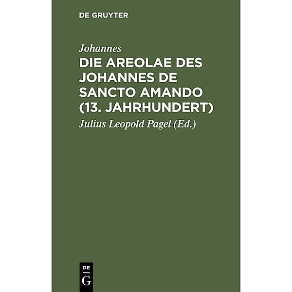 Die Areolae des Johannes de Sancto Amando (13. Jahrhundert), Johannes