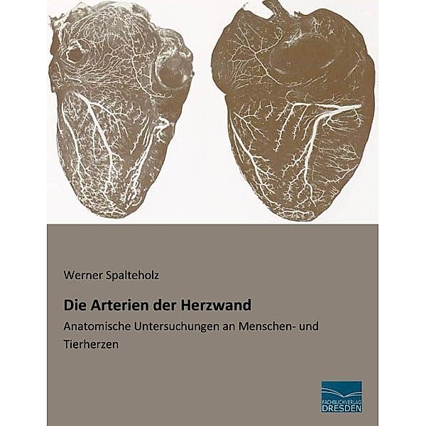 Die Arterien der Herzwand, Werner Spalteholz