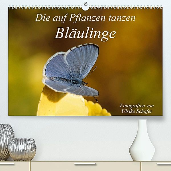 Die auf Pflanzen tanzen: Bläulinge (Premium, hochwertiger DIN A2 Wandkalender 2020, Kunstdruck in Hochglanz), Ulrike Schäfer