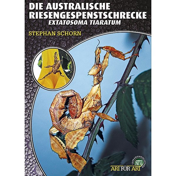 Die Australische Riesengespenstschrecke / Art für Art, Stephan Schorn