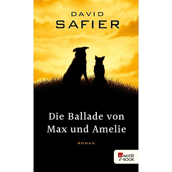 Die Ballade von Max und Amelie, David Safier