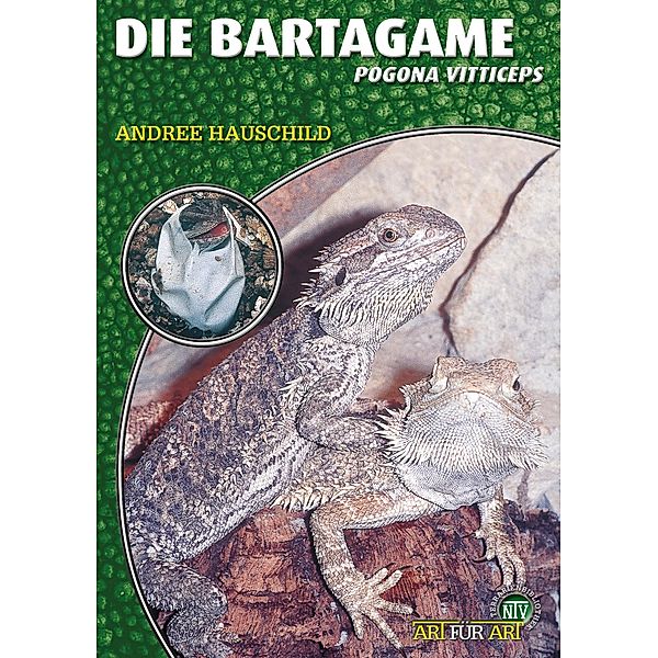 Die Bartagame / Art für Art, Andree Hauschild