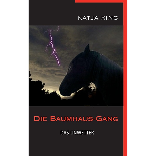 Die Baumhaus-Gang - Das Unwetter, Katja King