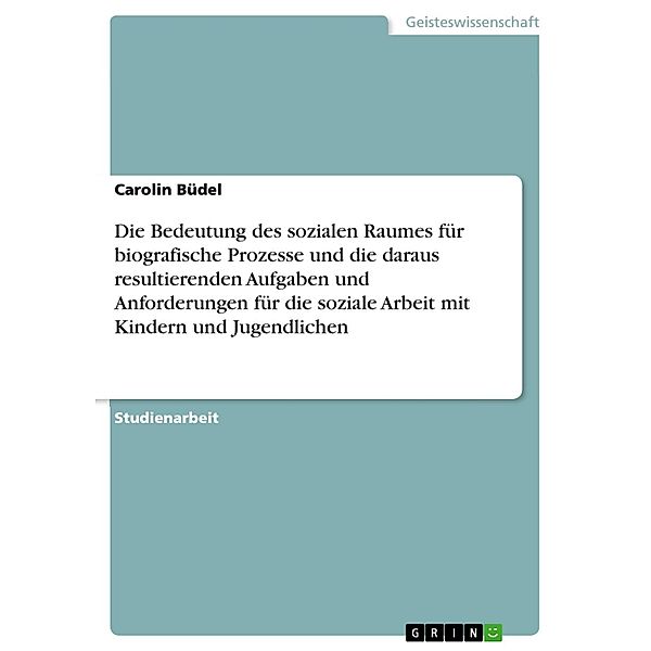 Die Bedeutung des sozialen Raumes für biografische Prozesse und die daraus resultierenden Aufgaben und Anforderungen für die soziale Arbeit mit Kindern und Jugendlichen, Carolin Büdel