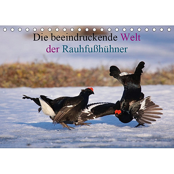 Die beeindruckende Welt der Rauhfusshühner (Tischkalender 2019 DIN A5 quer), Winfried Erlwein