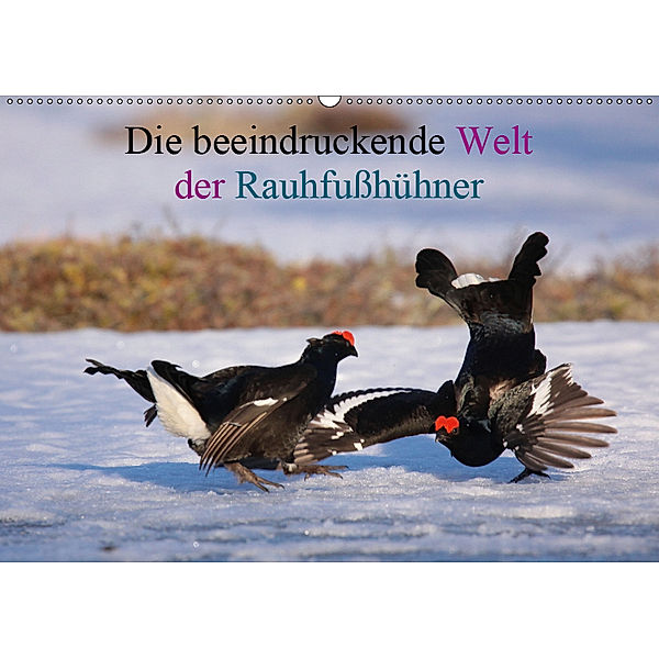 Die beeindruckende Welt der Rauhfusshühner (Wandkalender 2019 DIN A2 quer), Winfried Erlwein