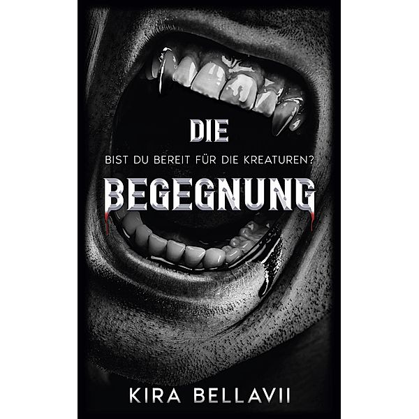 Die Begegnung / Die Begegnung Bd.1, Kira BellaVii