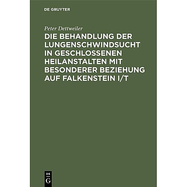 Die Behandlung der Lungenschwindsucht in geschlossenen Heilanstalten mit besonderer Beziehung auf Falkenstein i/T, Peter Dettweiler