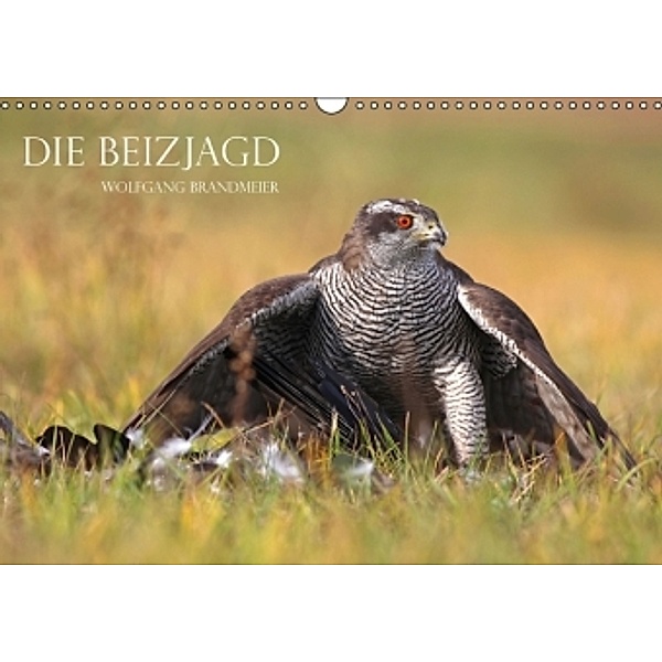 Die Beizjagd (Wandkalender 2014 DIN A3 quer), Wolfgang Brandmeier