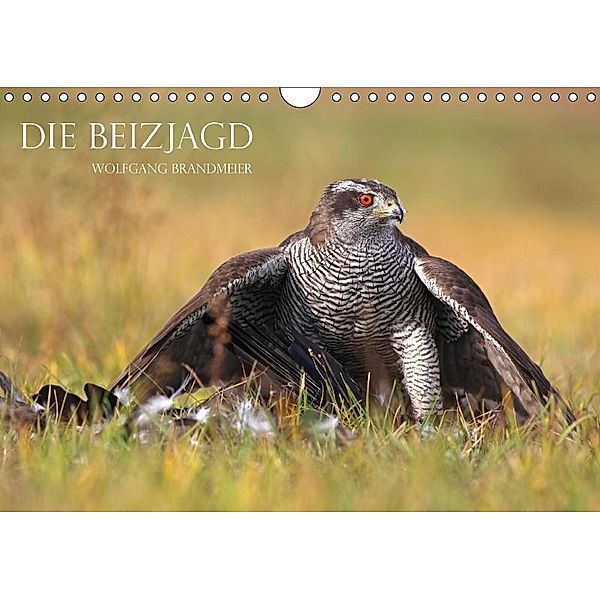 Die Beizjagd (Wandkalender 2017 DIN A4 quer), Wolfgang Brandmeier