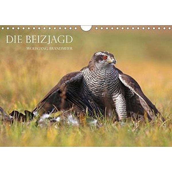 Die Beizjagd (Wandkalender 2020 DIN A4 quer), Wolfgang Brandmeier